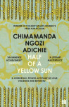 Half of Yellow Sun