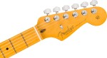 Fender American Professional Stratocaster MN ACB