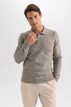 DEFACTO Standard Fit Polo Neck Sweater