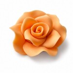 Dortisimo Cukrová růže velká oranžová (9 ks)