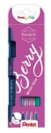 Pentel Brush Sign Pen ks Berry