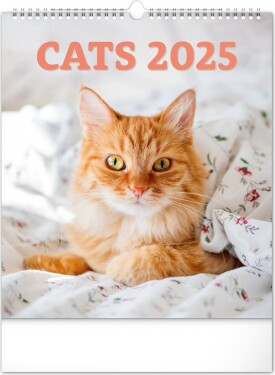 Kalendář 2025 nástěnný: Kočky, 30 34 cm