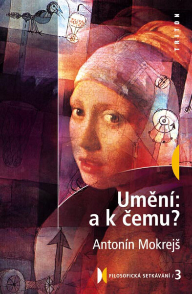 Umění: a k čemu? - Antonín Mokrejš