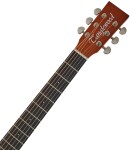 Tanglewood TR 3