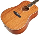 Tanglewood TUN 5