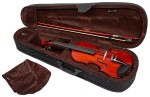Pierre Marin Amadeus Violin Set 3/4