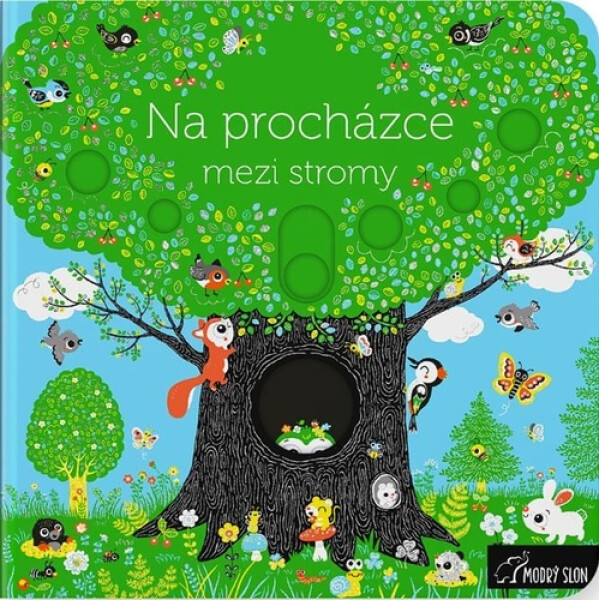 Na procházce mezi stromy