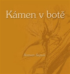 Kámen v botě - Roman Szpuk