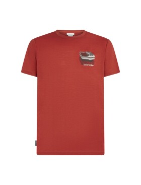 ICEBREAKER Mens Merino 150 Tech Lite SS Tee Evolving Lay, Agate velikost: XXL