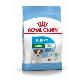 Royal Canin Mini Puppy 800 g / Granule pro štěňata od 2 do 10 měsíců (3182550792929)