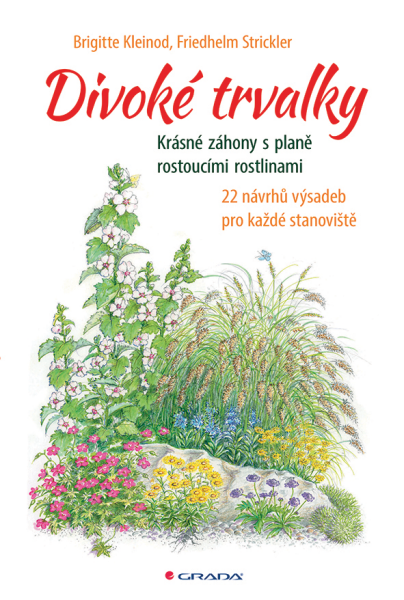Divoké trvalky - Brigitte Kleinod, Friedhelm Strickler