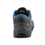 Běžecká obuv Dynafit Feline Sl Gtx M 64056-7800 EU 41