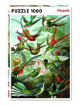 Puzzle Haeckel: Kolibris 1000 dílků