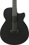 Ibanez AEG1221-BOT