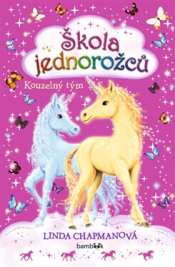 Škola jednorožců - Kouzelný tým