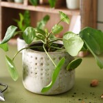 Ib Laursen Keramický obal na květináč Frida Glossy Glaze Cream 12 cm, krémová barva