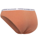 Tommy Hilfiger 3Pack tanga kalhotky UW0UW028280R2 Brown/Red/Ecru S