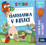 Matematika kostce