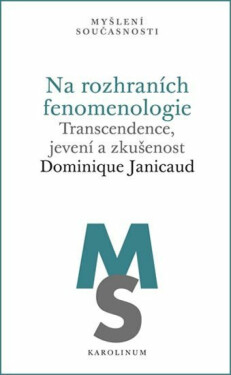 Na rozhraních fenomenologie - Dominique Janicaud