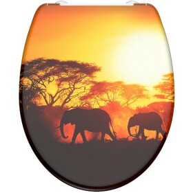 Schütte AFRICA | Duroplast, Soft Close 4008431823607
