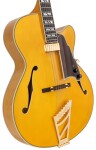 D'Angelico Excel 16 Amber
