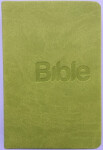 Bible, překlad 21. století (Green) - Alexandr Flek