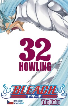 Bleach 32