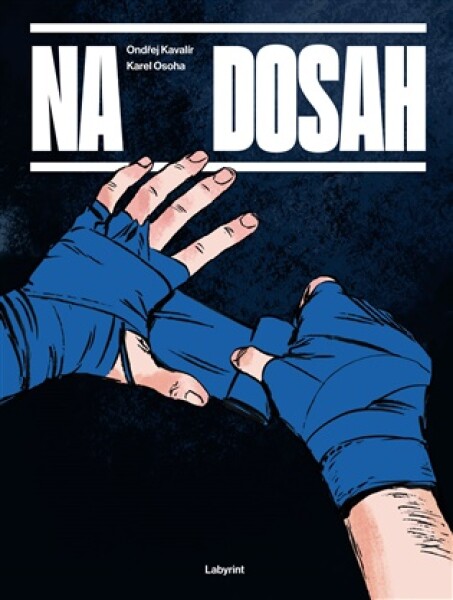 Na dosah - komiksový román - Karel Osoha