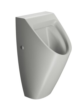 GSI - COUNITY urinál se zakrytým přívodem vody, 31x65cm, cenere mat 909717