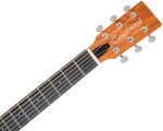 Tanglewood TM5CE