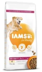IAMS Dog Senior Large Chicken 12kg / Granule pro psy / pro velká a obří plemena (1754-153919)