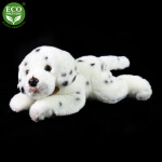 Eco-Friendly dalmatin 30 cm