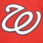 Nike Pánský dres Washington Nationals MLB Alternate 2 Limited Velikost: M