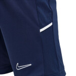 Šortky Nike Dri Fit Academy 25 Jr FZ9784 410 s