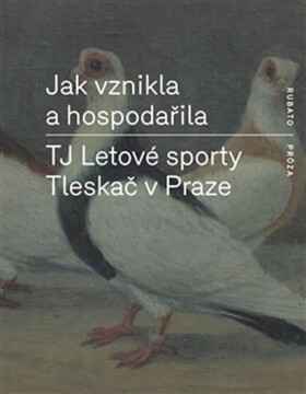 Jak vznikla hospodařila TJ Letové sporty Tleskač Praze