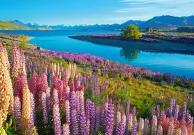 Castorland 53896 Jezero Tekapo, Nový Zéland