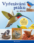 Vyřezávání ptáků ze dřeva - kolektiv autorů