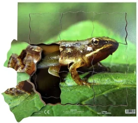 Just Jigsaws 604 Žába a její životní cyklus - dřevěné vrstvené puzzle
