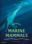 Mysteries of Marine Mammals - Amandine Delaunay