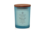 Vonná svíčka CHESAPEAKE BAY CANDLE Reflection Clatiry 250g