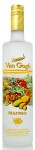 Van Gogh Mango Flavoured Vodka 35% 0,75 l (holá lahev)