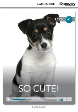 So Cute! Beginning Book with Online Access - Kenna Bourke