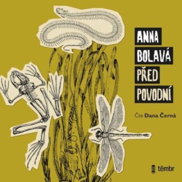 Před povodní - Anna Bolavá - audiokniha