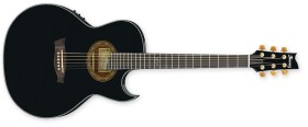 Ibanez EP5 Black Pearl