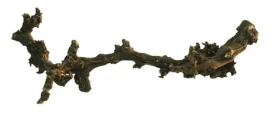 Lucky Reptile Grapevine - tmavý S 30-45 cm (FP-64170)