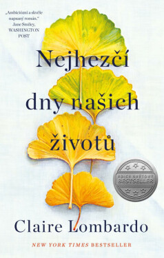 Nejhezčí dny našich životů (poškozená) - Claire Lombardo