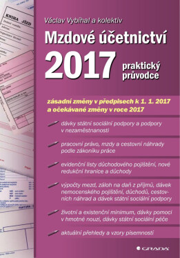 Mzdové účetnictví 2017 - Václav Vybíhal