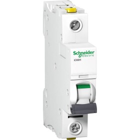 Schneider Electric A9F07125 A9F07125 elektrický jistič 25 A 230 V