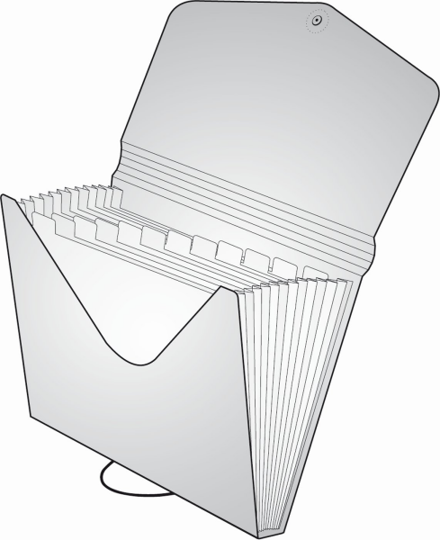 Organizér na dokumenty gumou A4 Opaline čirá-růžová,