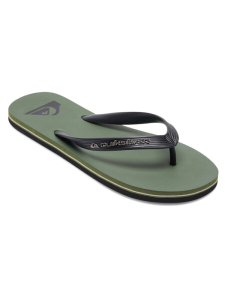 Quiksilver MOLOKAI CORE GREEN 40,5EUR